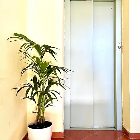 Elda Yellow Palace, Pazari I Ri * Τίρανα
