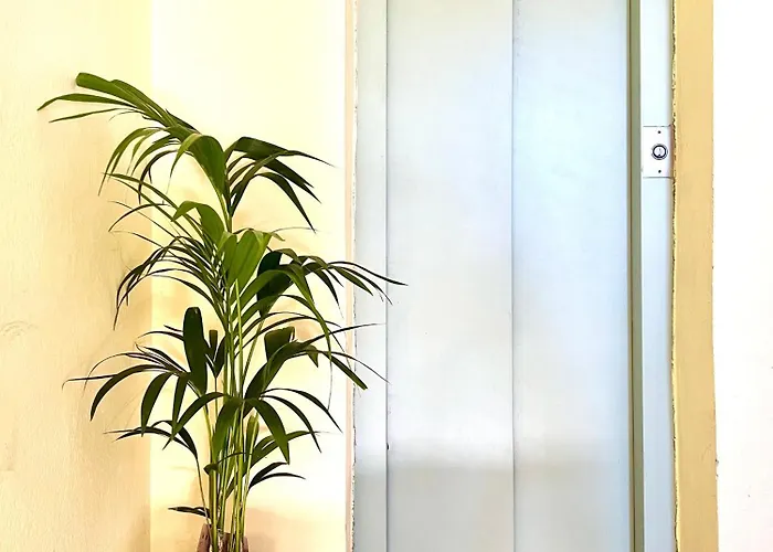 Elda Yellow Palace, Pazari I Ri * ティラナ